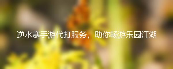 逆水寒手游代打服务，助你畅游乐园江湖