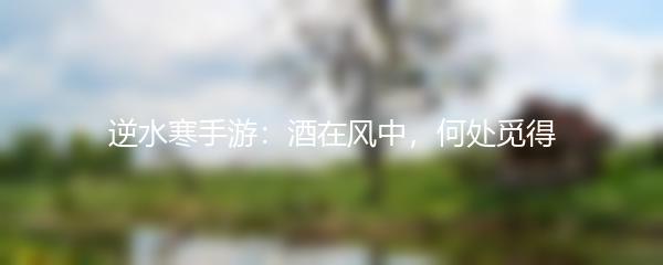 逆水寒手游：酒在风中，何处觅得