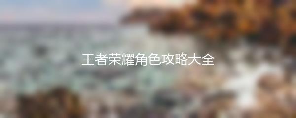 王者荣耀角色攻略大全