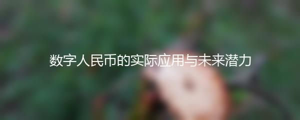 数字人民币的实际应用与未来潜力