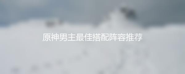 原神男主最佳搭配阵容推荐
