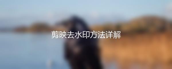 剪映去水印方法详解