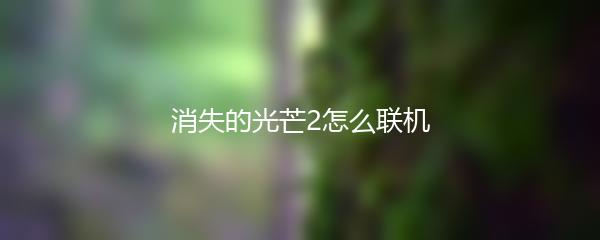 消失的光芒2怎么联机