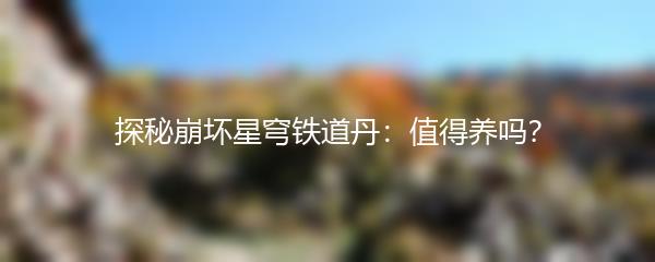 探秘崩坏星穹铁道丹：值得养吗？