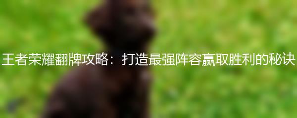 王者荣耀翻牌攻略：打造最强阵容赢取胜利的秘诀