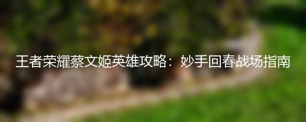 王者荣耀蔡文姬英雄攻略：妙手回春战场指南