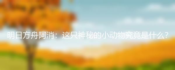 明日方舟阿消：这只神秘的小动物究竟是什么？