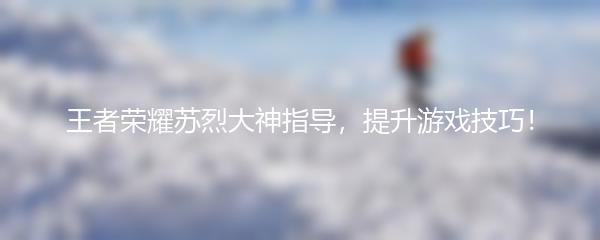 王者荣耀苏烈大神指导，提升游戏技巧！