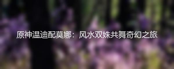 原神温迪配莫娜：风水双姝共舞奇幻之旅
