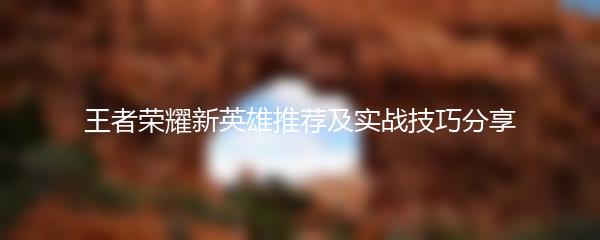 王者荣耀新英雄推荐及实战技巧分享