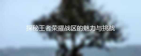探秘王者荣耀战区的魅力与挑战