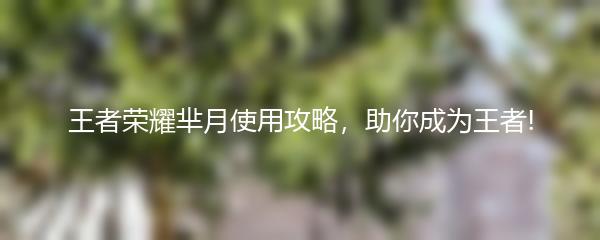 王者荣耀芈月使用攻略，助你成为王者!