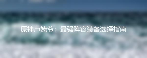 原神卢姥爷：最强阵容装备选择指南