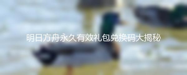 明日方舟永久有效礼包兑换码大揭秘