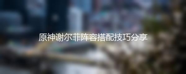 原神谢尔菲阵容搭配技巧分享