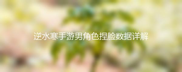 逆水寒手游男角色捏脸数据详解