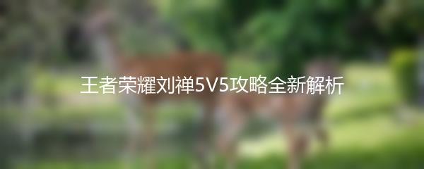王者荣耀刘禅5V5攻略全新解析