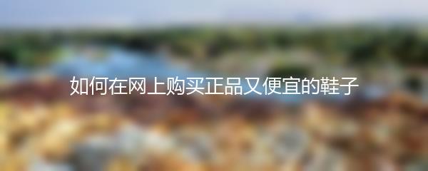 如何在网上购买正品又便宜的鞋子