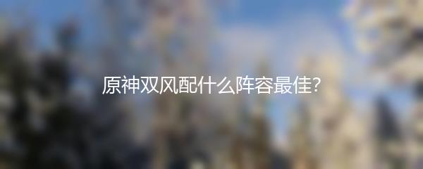 原神双风配什么阵容最佳？