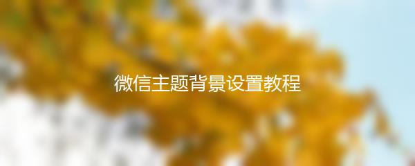 微信主题背景设置教程