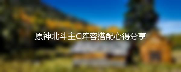 原神北斗主C阵容搭配心得分享