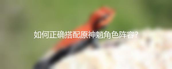 如何正确搭配原神魈角色阵容？