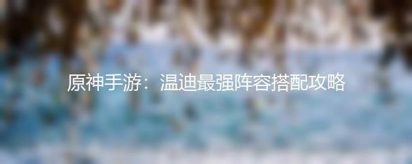 原神手游：温迪最强阵容搭配攻略