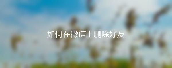 如何在微信上删除好友