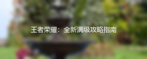 王者荣耀：全新满级攻略指南