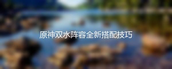 原神双水阵容全新搭配技巧