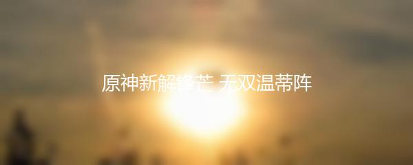 原神新解锋芒 无双温蒂阵