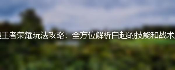 白起王者荣耀玩法攻略：全方位解析白起的技能和战术应用