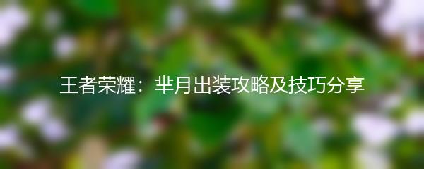 王者荣耀：芈月出装攻略及技巧分享
