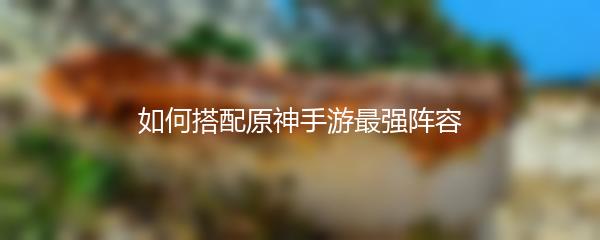 如何搭配原神手游最强阵容