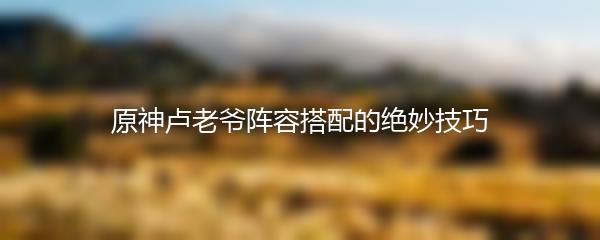 原神卢老爷阵容搭配的绝妙技巧