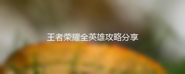 王者荣耀全英雄攻略分享