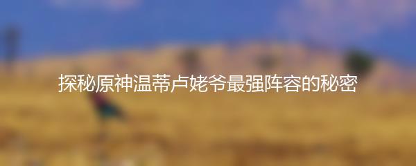 探秘原神温蒂卢姥爷最强阵容的秘密