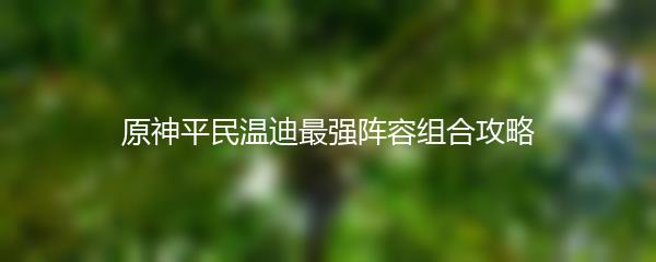 原神平民温迪最强阵容组合攻略