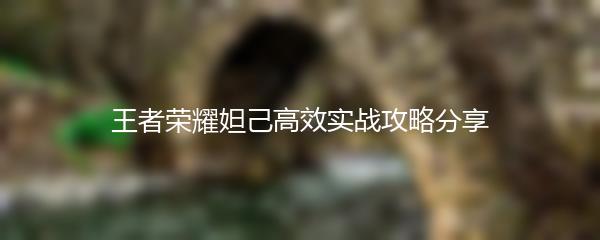 王者荣耀妲己高效实战攻略分享