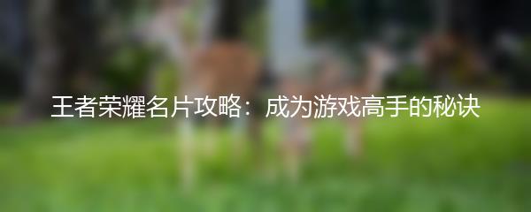 王者荣耀名片攻略：成为游戏高手的秘诀