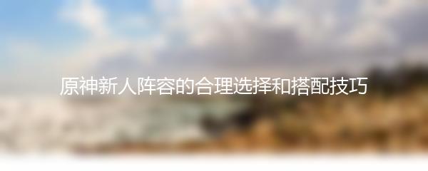 原神新人阵容的合理选择和搭配技巧