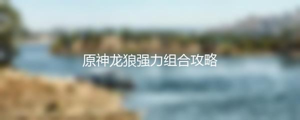 原神龙狼强力组合攻略