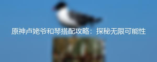 原神卢姥爷和琴搭配攻略：探秘无限可能性