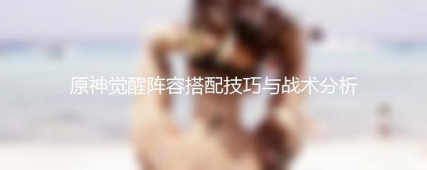 原神觉醒阵容搭配技巧与战术分析