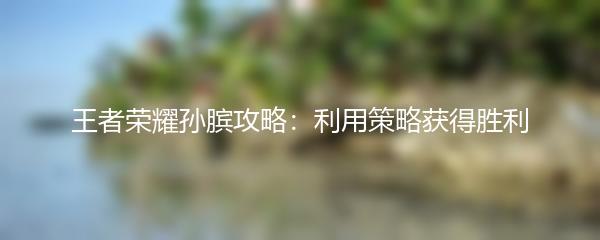 王者荣耀孙膑攻略：利用策略获得胜利