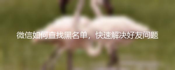 微信如何查找黑名单，快速解决好友问题