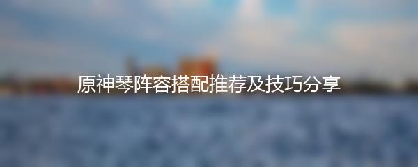 原神琴阵容搭配推荐及技巧分享