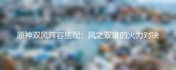 原神双风阵容搭配：风之双雄的火力对决