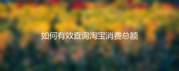 如何有效查询淘宝消费总额