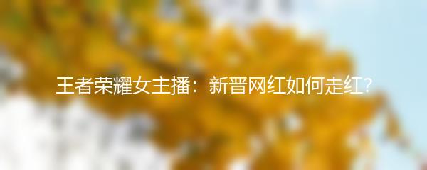 王者荣耀女主播：新晋网红如何走红？